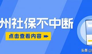 杭州城乡居民社保怎么缴纳 杭州社保怎么交